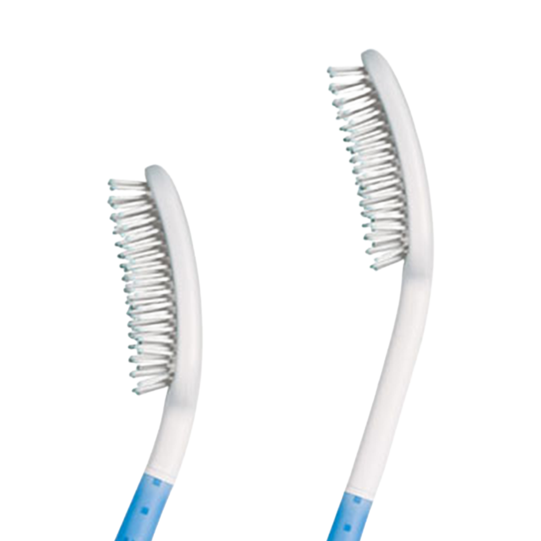 Long Handled Brush