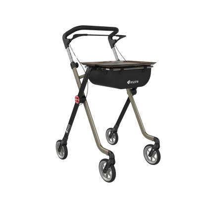 Aspire Vogue Indoor Walker Champagne/Black
