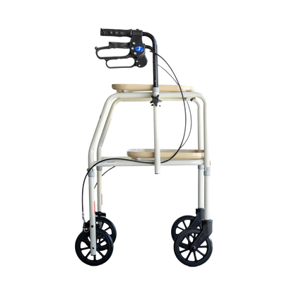 Aspire Meal Tray Walker