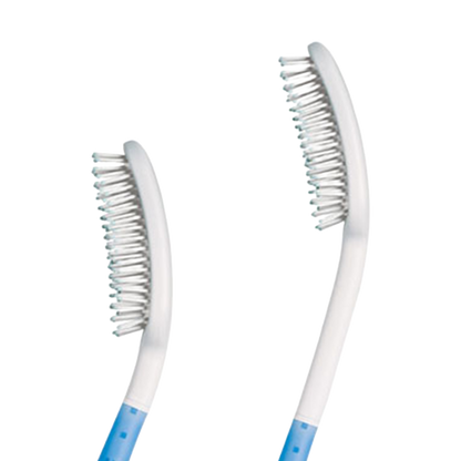Long Handled Brush